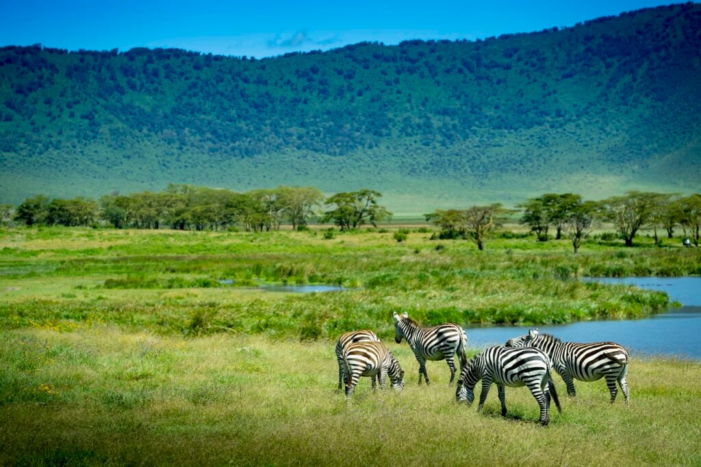 4-Day Best Serengeti, Ngorongoro & Lake Manyara