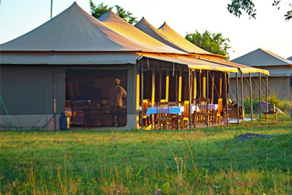 Sero Tented Camp (Ndutu)